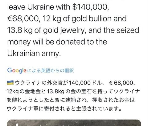 ウクライナ政府「資産を持ってウクライナから逃亡しようとしたクズを捕まえたぞ」