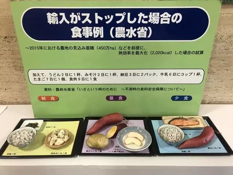 【衝撃】日本さん、『輸入ストップ』した際の食事がコチラ