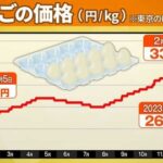 【高級品】たまごMサイズ卸売価格が最高値を更新　１ｋｇあたり３３５円