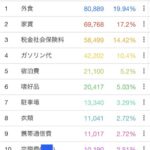 俺の1ヶ月の支出が多すぎるか判定してくれない？