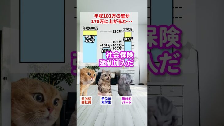 【動画】猫ミームでわかる年収の壁ｗｗｗｗｗｗｗｗｗｗｗ