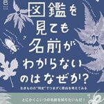 今年200冊本を読んだワイがその中で打線組んだwwww