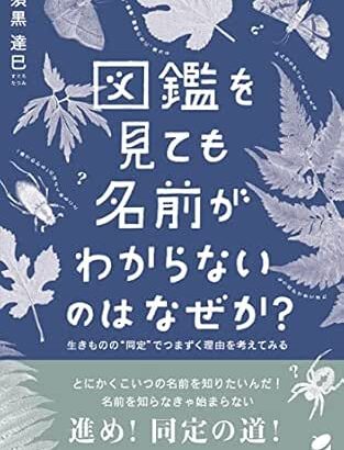 今年200冊本を読んだワイがその中で打線組んだwwww