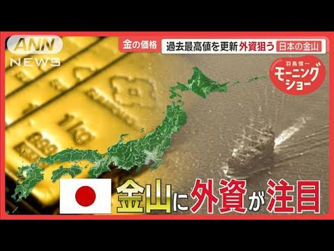 外資「日本は金鉱脈あるのにナンデ採掘しないの？」