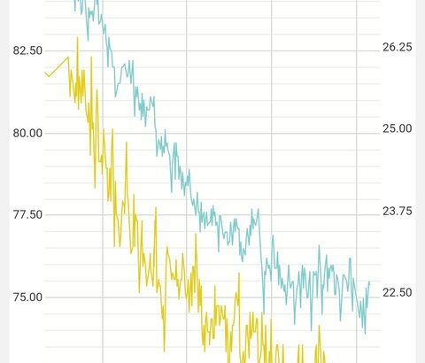 【画像】デブがダイエットを頑張った結果ｗｗｗｗｗｗｗｗｗｗ