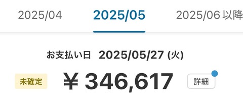 ワイ「今月のクレカ請求か、まあ10万くらいか」