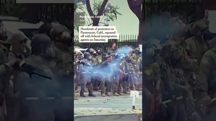 【動画】カリフォルニア州の暴動、州兵が投入され割と笑えない事態になる