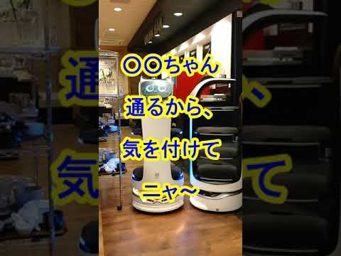 【動画】猫型配膳ロボット、通れなくて喧嘩をしてしまう