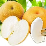 【急募】ふるさと納税何に使った？