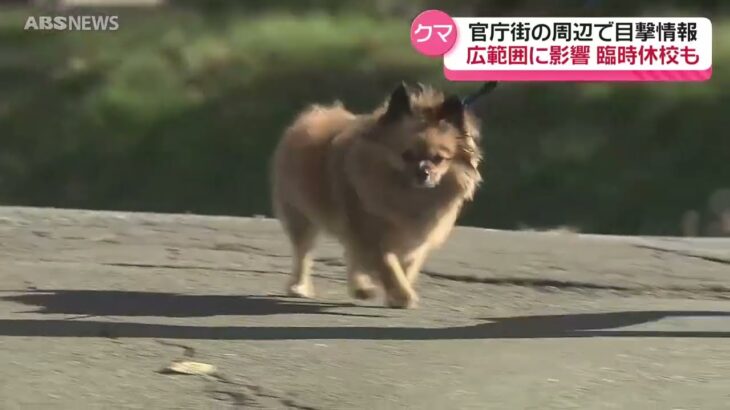 クマ、「ハローワーク秋田」にも出没