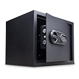 お金持ちの家に高確率で有るもの