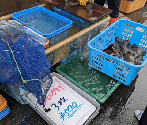 【画像】こういうの勢いで買えない　お前ら買える？😭