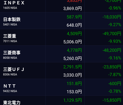 【画像】NISA買ったら大変なことになってるんだけど(´；ω；｀)