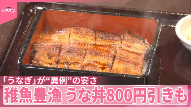 「うなぎ」が“異例”の安さ　稚魚豊漁…うな丼800円引きも　この安さいつまで続く？