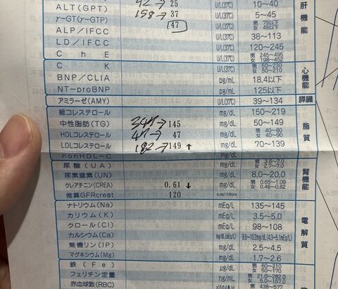 【朗報】脂肪肝治ったあああああああああ😂