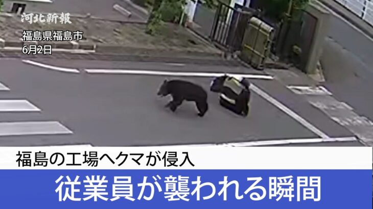 【恐怖】福島の工場に熊侵入　従業員が襲われる【動画】