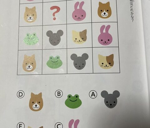 【画像】難易度が高すぎる５歳用ドリル、お前らわかる？