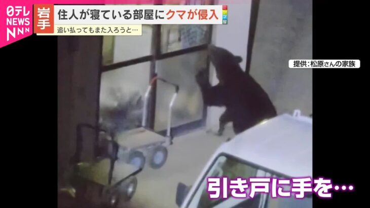 （・(ｪ)・）「こんちわー！」