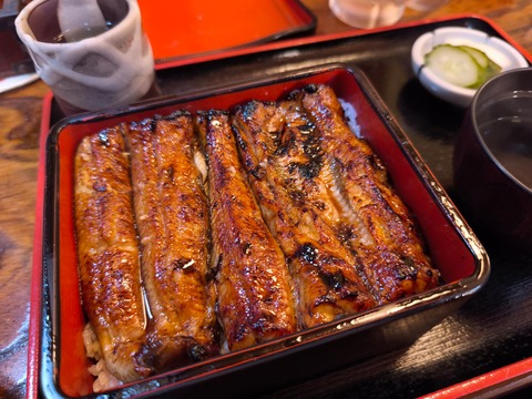 【画像】うなぎ食べてきたよー！！！