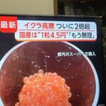 いくら、一粒4.5円へ　パチンコ玉超え