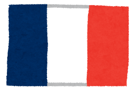 【悲報】フランスのゲームショップでとあるソフトだけ略奪されなかった模様